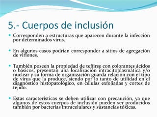 5.- Cuerpos de inclusión Corresponden a estructuras que aparecen durante la infección por determinados virus.  En algunos casos podrían corresponder a sitios de agregación de viriones.  También poseen la propiedad de teñirse con colorantes ácidos o básicos, presentan una localización intracitoplasmática y/o nuclear y su forma de organización guarda relación con el tipo de virus que la produce, siendo por lo tanto de utilidad en el diagnóstico histopatológico, en células exfoliadas y cortes de tejido.  Estas características se deben utilizar con precaución, ya que algunos de estos cuerpos de inclusión pueden ser producidos también por bacterias intracelulares y sustancias tóxicas. 