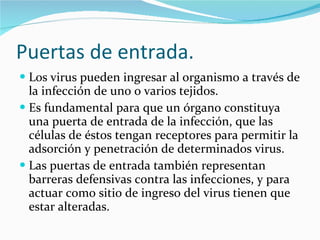 Puertas de entrada. Los virus pueden ingresar al organismo a través de la infección de uno o varios tejidos.  Es fundamental para que un órgano constituya una puerta de entrada de la infección, que las células de éstos tengan receptores para permitir la adsorción y penetración de determinados virus.  Las puertas de entrada también representan barreras defensivas contra las infecciones, y para actuar como sitio de ingreso del virus tienen que estar alteradas.  