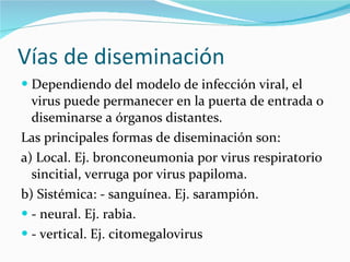 Vías de diseminación Dependiendo del modelo de infección viral, el virus puede permanecer en la puerta de entrada o diseminarse a órganos distantes.  Las principales formas de diseminación son: a) Local. Ej. bronconeumonia por virus respiratorio sincitial, verruga por virus papiloma. b) Sistémica: - sanguínea. Ej. sarampión. - neural. Ej. rabia. - vertical. Ej. citomegalovirus 
