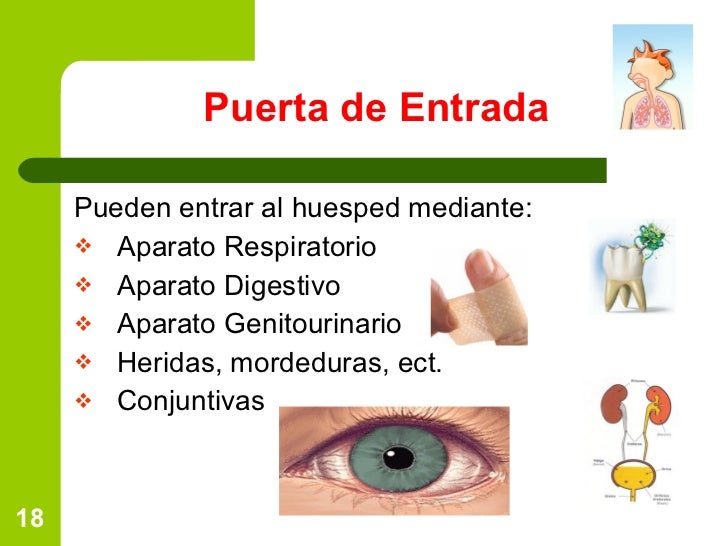 Patogenia