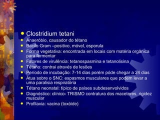  Clostridium tetani
 Anaeróbio, causador do tétano
 Bacilo Gram –positivo, móvel, esporula
 Forma vegetativa: encontrada em locais com matéria orgânica
para fermentar
 Fatores de virulência: tetanospasmina e tetanolisina
 Tétano: contrai através de lesões
 Período de incubação: 7-14 dias porém póde chegar a 24 dias
 Atua sobre o SNC: espasmos musculares que podem levar a
uma paralisia respiratória
 Tétano neonatal: típico de países subdesenvolvidos
 Diagnóstico: clínico- TRISMO contratura dos maceteres, rigidez
muscular
 Profilaxia: vacina (toxóide)
 