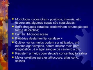  Morfologia: cocos Gram- positivos, imóveis, não
esporulam, algumas cepas são capsuladas;
 Em esfregaços corados: predominam arrumação sob
forma de cachos;
 Família: Micrococaceae
 Bactérias desta família: catalase +
 Cultivo: varios meios podem ser utilizados, até
mesmo ágar simples, porém melhor meio para
diagnóstico , é o ágar sangue de carneiro a 5%;
 Resistem a meios com elevada concentração salina
 Meios seletivos para estafilococos: altas conc.
salinas
 