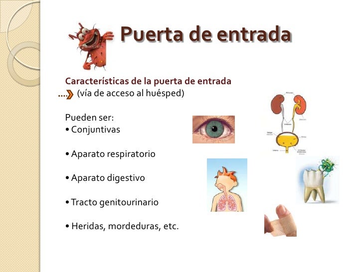 Patogenia,cadena epidemiologica, esterilizacion.