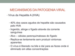 MECANISMOS DA PATOGENIAVIRAL
• Vírus da Hepatite A (HVA)
• 40% dos casos agudos de hepatite são causados
pelo HVA
• Ingerido, atinge o fígado através da corrente
sanguínea
• Alvo – células parenquimatosas do fígado
• Replica-se lentamente sem produzir sintomas
aparentes
• O vírus é liberado na bile e daí para as fezes onde é
eliminado em altas concentrações
 