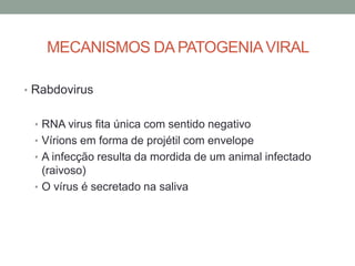 MECANISMOS DA PATOGENIAVIRAL
• Rabdovirus
• RNA virus fita única com sentido negativo
• Vírions em forma de projétil com envelope
• A infecção resulta da mordida de um animal infectado
(raivoso)
• O vírus é secretado na saliva
 