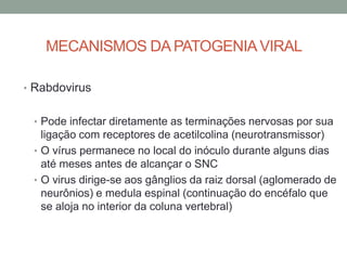 MECANISMOS DA PATOGENIAVIRAL
• Rabdovirus
• Pode infectar diretamente as terminações nervosas por sua
ligação com receptores de acetilcolina (neurotransmissor)
• O vírus permanece no local do inóculo durante alguns dias
até meses antes de alcançar o SNC
• O virus dirige-se aos gânglios da raiz dorsal (aglomerado de
neurônios) e medula espinal (continuação do encéfalo que
se aloja no interior da coluna vertebral)
 