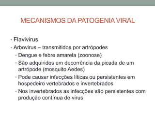 MECANISMOS DA PATOGENIAVIRAL
• Flavivirus
• Arbovirus – transmitidos por artrópodes
• Dengue e febre amarela (zoonose)
• São adquiridos em decorrência da picada de um
artrópode (mosquito Aedes)
• Pode causar infecções líticas ou persistentes em
hospedeiro vertebrados e invertebrados
• Nos invertebrados as infecções são persistentes com
produção contínua de virus
 