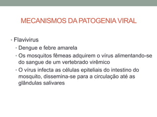 MECANISMOS DA PATOGENIAVIRAL
• Flavivirus
• Dengue e febre amarela
• Os mosquitos fêmeas adquirem o vírus alimentando-se
do sangue de um vertebrado virêmico
• O vírus infecta as células epiteliais do intestino do
mosquito, dissemina-se para a circulação até as
glândulas salivares
 