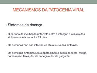 MECANISMOS DA PATOGENIAVIRAL
• Sintomas da doença
• O período de incubação (intervalo entre a infecção e o início dos
sintomas) varia entre 2 a 21 dias
• Os humanos não são infectantes até o início dos sintomas.
• Os primeiros sintomas são o aparecimento súbito de febre, fadiga,
dores musculares, dor de cabeça e dor de garganta.
 