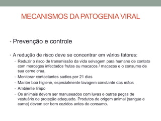 MECANISMOS DA PATOGENIAVIRAL
• Prevenção e controle
• A redução de risco deve se concentrar em vários fatores:
• Reduzir o risco de transmissão da vida selvagem para humano de contato
com morcegos infectados frutas ou macacos / macacos e o consumo de
sua carne crua.
• Monitorar contactantes sadios por 21 dias
• Manter boa higiene, especialmente lavagem constante das mãos
• Ambiente limpo
• Os animais devem ser manuseados com luvas e outras peças de
vestuário de proteção adequado. Produtos de origem animal (sangue e
carne) devem ser bem cozidos antes do consumo.
 