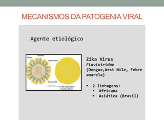 MECANISMOS DA PATOGENIAVIRAL
 