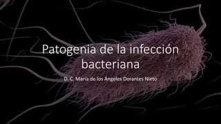 Patogenia de la infección
bacteriana
D. C. María de los Ángeles Dorantes Nieto
 