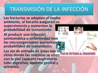 Patogenia de la infección bacteriana fatima