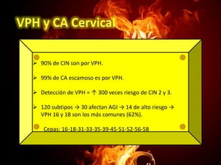  90% de CIN son por VPH.
 99% de CA escamoso es por VPH.
 Detección de VPH = ↑ 300 veces riesgo de CIN 2 y 3.
 120 subtipos → 30 afectan AGI → 14 de alto riesgo →
VPH 16 y 18 son los más comunes (62%).
Cepas: 16-18-31-33-35-39-45-51-52-56-58

 