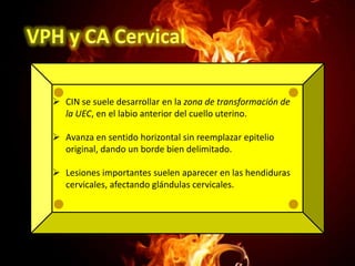  CIN se suele desarrollar en la zona de transformación de
la UEC, en el labio anterior del cuello uterino.
 Avanza en sentido horizontal sin reemplazar epitelio
original, dando un borde bien delimitado.
 Lesiones importantes suelen aparecer en las hendiduras
cervicales, afectando glándulas cervicales.

 