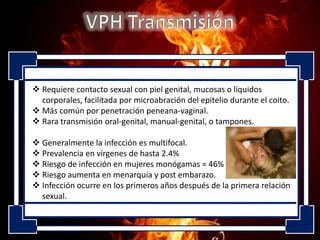  Requiere contacto sexual con piel genital, mucosas o líquidos
corporales, facilitada por microabración del epitelio durante el coito.
 Más común por penetración peneana-vaginal.
 Rara transmisión oral-genital, manual-genital, o tampones.
 Generalmente la infección es multifocal.
 Prevalencia en vírgenes de hasta 2.4%
 Riesgo de infección en mujeres monógamas = 46%
 Riesgo aumenta en menarquia y post embarazo.
 Infección ocurre en los primeros años después de la primera relación
sexual.

 