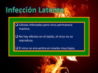  Células infectadas pero virus permanece
inactivo.
 No hay efectos en el tejido, el virus no se
reproduce.
 El virus se encuentra en niveles muy bajos.

 