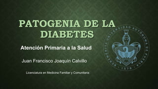 PATOGENIA DE LA
DIABETES
Juan Francisco Joaquín Calvillo
Atención Primaria a la Salud
Licenciatura en Medicina Familiar y Comunitaria
 