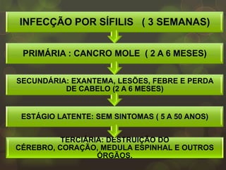 EX:
INFECÇÃO POR SÍFILIS ( 3 SEMANAS)


 PRIMÁRIA : CANCRO MOLE ( 2 A 6 MESES)


SECUNDÁRIA: EXANTEMA, LESÕES, FEBRE E PERDA
          DE CABELO (2 A 6 MESES)


 ESTÁGIO LATENTE: SEM SINTOMAS ( 5 A 50 ANOS)


          TERCIÁRIA: DESTRUIÇÃO DO
CÉREBRO, CORAÇÃO, MEDULA ESPINHAL E OUTROS
                  ÓRGÃOS.
 
