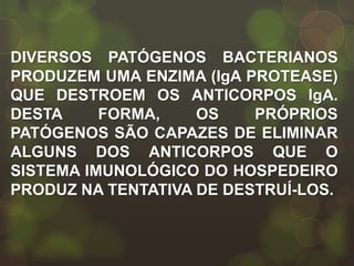 DIVERSOS PATÓGENOS BACTERIANOS
PRODUZEM UMA ENZIMA (IgA PROTEASE)
QUE DESTROEM OS ANTICORPOS IgA.
DESTA     FORMA,    OS    PRÓPRIOS
PATÓGENOS SÃO CAPAZES DE ELIMINAR
ALGUNS DOS ANTICORPOS QUE O
SISTEMA IMUNOLÓGICO DO HOSPEDEIRO
PRODUZ NA TENTATIVA DE DESTRUÍ-LOS.
 