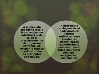 A microbiota
   A microbiota
                     endógena local
endógena local (
                      pode produzir
boca, vagina ou
                          fatores
 intestino) pode
                     antibacterianos
      inibir o
                        (proteínas
crescimento do
                      denominadas
 microrganismo
                      bacteriocinas)
   estranho ao
                     que destroem o
ocupar o espaço
                    patógeno recém-
 e utilizar todos
                         chegado(
  os nutrientes
                       antagonismo
   disponíveis;
                       microbiano);
 