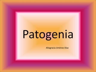 Patogenia
    Altagracia Jiménez Díaz
 