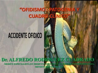 Dr. ALFREDO RODRIGUEZ CUADRADO
MEDICO ESPECIALISTA EN MEDICINA INTEGRAL Y MAGISTER EN EPIDEMIOLOGIA.
MINISTERIO DE SALUD.
“OFIDISMO : PATOGENIA Y
CUADRO CLÌNICO”
 