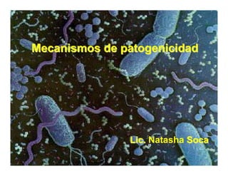 Mecanismos de patogenicidad




               Lic. Natasha Soca
 