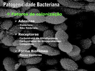 Fatores de colonização Adesinas Fimbriais; Não fimbriais. Patogenicidade Bacteriana Receptoras Carboidrato de Glicolipídeos; Carboidratos de Glicoproteínas; Integrinas.  Forma Biofilmes Placas Dentárias 