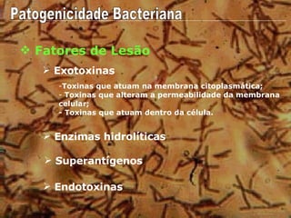 Enzimas hidrolíticas Exotoxinas Fatores de Lesão Endotoxinas Superantígenos  Patogenicidade Bacteriana Toxinas que atuam na membrana citoplasmática; Toxinas que alteram a permeabilidade da membrana celular; - Toxinas que atuam dentro da célula. 