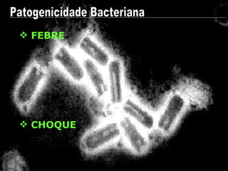 FEBRE Patogenicidade Bacteriana CHOQUE 