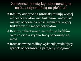 Zależności pomiędzy odpornością na mróz a odpornością na pleśń cd. Rośliny odporne na mróz akumulują więcej monosacharydów niż fruktanów, natomiast rośliny odporne na pleśń gromadzą więcej fruktanów niż monosacharydów Rośliny zahartowane na mróz po krótkim okresie ciepła szybko tracą odporność na mróz Rozhartowane rośliny wykazują wolniejszy spadek odporności na patogeny śniegowe 