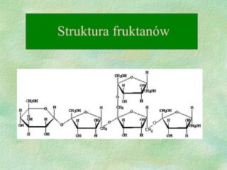 Struktura fruktanów 