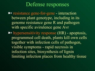 Defense responses resistance gene-for-gene  - interaction between plant genotype, including in its genome resistance gene R and pathogen with specific avirulence gene Avr hypersensitivity response  (HR) - apoptosis, programmed cell death, plants kill own cells together with infection cells of pathogen, visible symptoms - rapid necrosis in infection sites, biosynthesis of lignin limiting infection places from healthy tissue 