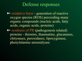 Defense responses oxidative burst  - generation of reactive oxygen species (ROS) peroxiding many organic compounds (nucleic acids, fatty acids, organic acids, proteins) synthesis of PR  (pathogenesis related) proteins - thionins, thaumatine, glucanases, chitynases, peroxidases, lipoxygenase, phenylalanine amonialyase 