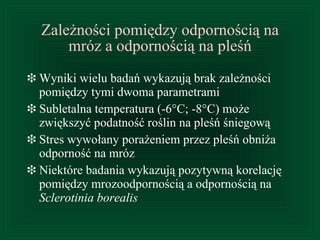 Zależności pomiędzy odpornością na mróz a odpornością na pleśń Wyniki wielu badań wykazują brak zależności pomiędzy tymi dwoma parametrami Sublet alna temperatura  (-6°C; -8°C)  może zwiększyć podatność roślin na pleśń śniegową Stres wywołany porażeniem przez pleśń obniża odporność na mróz Niektóre badania wykazują pozytywną korelację pomiędzy mrozoodpornością a odpornością na  Sclerotinia borealis 