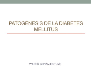 PATOGÉNESIS DE LA DIABETES
        MELLITUS




       WILDER GONZALES TUME
 