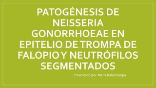 PATOGÉNESIS DE
NEISSERIA
GONORRHOEAE EN
EPITELIO DETROMPA DE
FALOPIOY NEUTRÓFILOS
SEGMENTADOS
Presentado por: María IsabelVargas
 