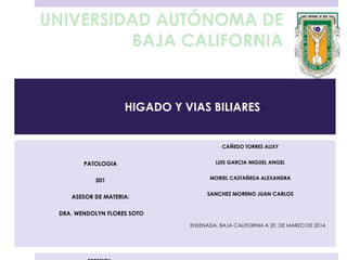 HIGADO Y VIAS BILIARES
PATOLOGIA
501
ASESOR DE MATERIA:
DRA. WENDOLYN FLORES SOTO
CAÑEDO TORRES ALIXY
LUIS GARCIA MIGUEL ANGEL
MORIEL CASTAÑEDA ALEXANDRA
SANCHEZ MORENO JUAN CARLOS
ENSENADA, BAJA CALIFORNIA A 25 DE MARZO DE 2014
UNIVERSIDAD AUTÓNOMA DE
BAJA CALIFORNIA
 