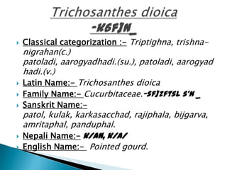  Classical categorization :- Triptighna, trishna-
nigrahan(c.)
patoladi, aarogyadhadi.(su.), patoladi, aarogyad
hadi.(v.)
 Latin Name:- Trichosanthes dioica
 Family Name:- Cucurbitaceae.-sf]zftsL s'n _
 Sanskrit Name:-
patol, kulak, karkasacchad, rajiphala, bijgarva,
amritaphal, panduphal.
 Nepali Name:- k/an, k/a/
 English Name:- Pointed gourd.
 