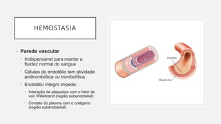 HEMOSTASIA
• Parede vascular
• Indispensável para manter a
fluidez normal do sangue
• Células do endotélio tem atividade
antitrombótica ou trombolítica
• Endotélio íntegro impede:
• Interação de plaquetas com o fator de
von Willebrand (região subendotelial)
• Contato do plasma com o colágeno
(região subendotelial)
 