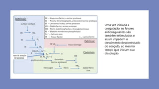 Uma vez iniciada a
coagulação, os fatores
anticoagulantes são
também estimulados e
assim impedem o
crescimento descontrolado
do coágulo, ao mesmo
tempo que iniciam sua
dissolução
 