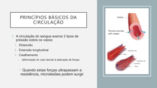 PRINCÍPIOS BÁSICOS DA
CIRCULAÇÃO
1. A circulação do sangue exerce 3 tipos de
pressão sobre os vasos:
1. Distensão
2. Extensão longitudinal
3. Cisalhamento
1. deformação do vaso devido à aplicação de forças
• Quando estas forças ultrapassam a
resistência, microlesões podem surgir
 