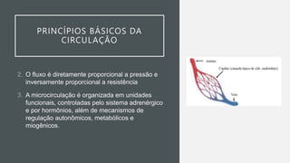 PRINCÍPIOS BÁSICOS DA
CIRCULAÇÃO
2. O fluxo é diretamente proporcional a pressão e
inversamente proporcional a resistência
3. A microcirculação é organizada em unidades
funcionais, controladas pelo sistema adrenérgico
e por hormônios, além de mecanismos de
regulação autonômicos, metabólicos e
miogênicos.
 