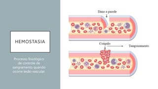HEMOSTASIA
Processo fisiológico
de controle de
sangramento quando
ocorre lesão vascular.
 
