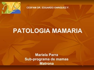 CESFAM DR. EDGARDO ENRIQUEZ F.

PATOLOGIA MAMARIA

Mariela Parra
Sub-programa de mamas
Matrona

 