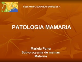 Mariela Parra Sub-programa de mamas Matrona PATOLOGIA MAMARIA CESFAM DR. EDGARDO ENRIQUEZ F. 