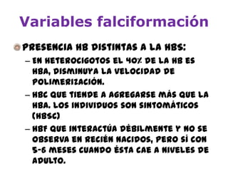 Variables falciformación
Presencia Hb distintas a la HbS:
– En heterocigotos el 40% de la Hb es
HbA, disminuya la velocidad de
polimerización.
– HbC que tiende a agregarse más que la
HbA. Los individuos son sintomáticos
(HbSC)
– HbF que interactúa débilmente y no se
observa en recién nacidos, pero sí con
5-6 meses cuando ésta cae a niveles de
adulto.
 