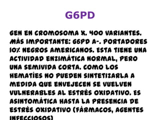 G6PD
Gen en cromosoma X. 400 variantes.
Más importante: G6PD A-. Portadores
10% negros americanos. Esta tiene una
actividad enzimática normal, pero
una semivida corta. Como los
hematíes no pueden sintetizarla a
medida que envejecen se vuelven
vulnerables al estrés oxidativo. Es
asintomática hasta la presencia de
estrés oxidativo (fármacos, agentes
 