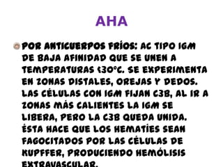 AHA
Por anticuerpos fríos: Ac tipo IgM
de baja afinidad que se unen a
temperaturas <30ºC. Se experimenta
en zonas distales, orejas y dedos.
Las células con IgM fijan C3b, al ir a
zonas más calientes la IgM se
libera, pero la C3b queda unida.
Ésta hace que los hematíes sean
fagocitados por las células de
Kupffer, produciendo hemólisis
 
